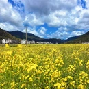 黄山旅游 缩略图 5