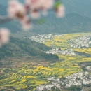 黄山旅游 缩略图 4