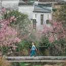 黄山旅游 缩略图 11
