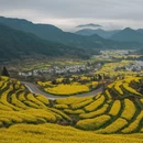 黄山旅游 缩略图 9