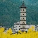黄山旅游 缩略图 17