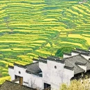 黄山旅游 缩略图 2