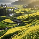 黄山旅游 缩略图 1