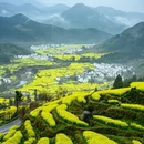 黄山旅游 缩略图 3