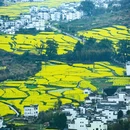 黄山旅游 缩略图 2
