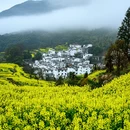 黄山旅游 缩略图 4