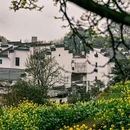 黄山旅游 缩略图 8