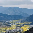 黄山旅游 缩略图 2