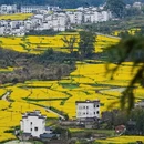 黄山旅游 缩略图 1