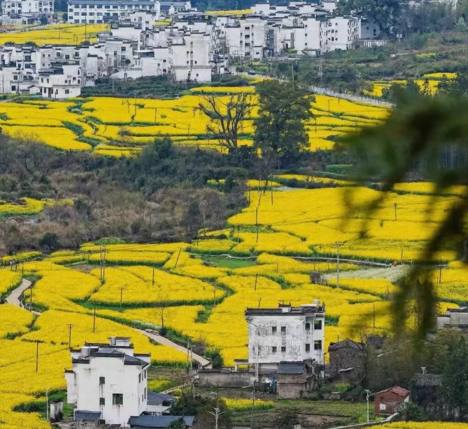 黄山旅游 1