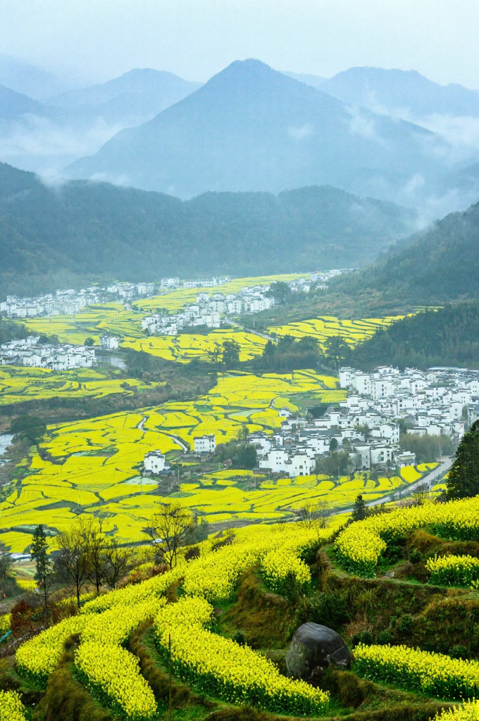 黄山旅游