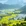 黄山