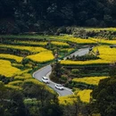 黄山旅游 缩略图 4