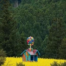 黄山旅游 缩略图 3