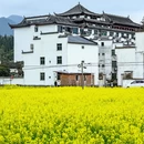 黄山旅游 缩略图 9