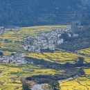 黄山旅游 缩略图 5