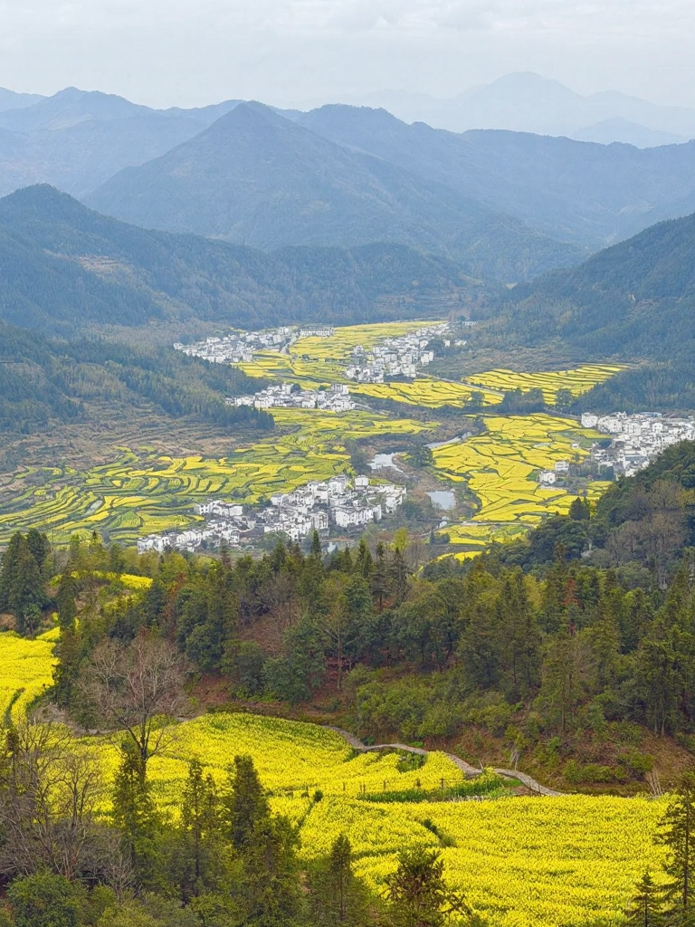 黄山旅游
