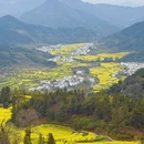 黄山旅游 缩略图 1