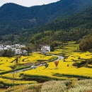 黄山旅游 缩略图 11