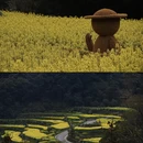 黄山旅游 缩略图 8
