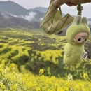 黄山旅游 缩略图 10