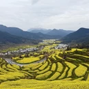 黄山旅游 缩略图 2