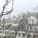 黄山旅游 缩略图 11