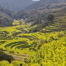 黄山旅游 缩略图 1