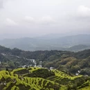 黄山旅游 缩略图 2