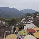 黄山旅游 缩略图 12