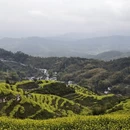 黄山旅游 缩略图 3