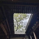黄山旅游 缩略图 11
