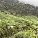 黄山旅游 缩略图 2