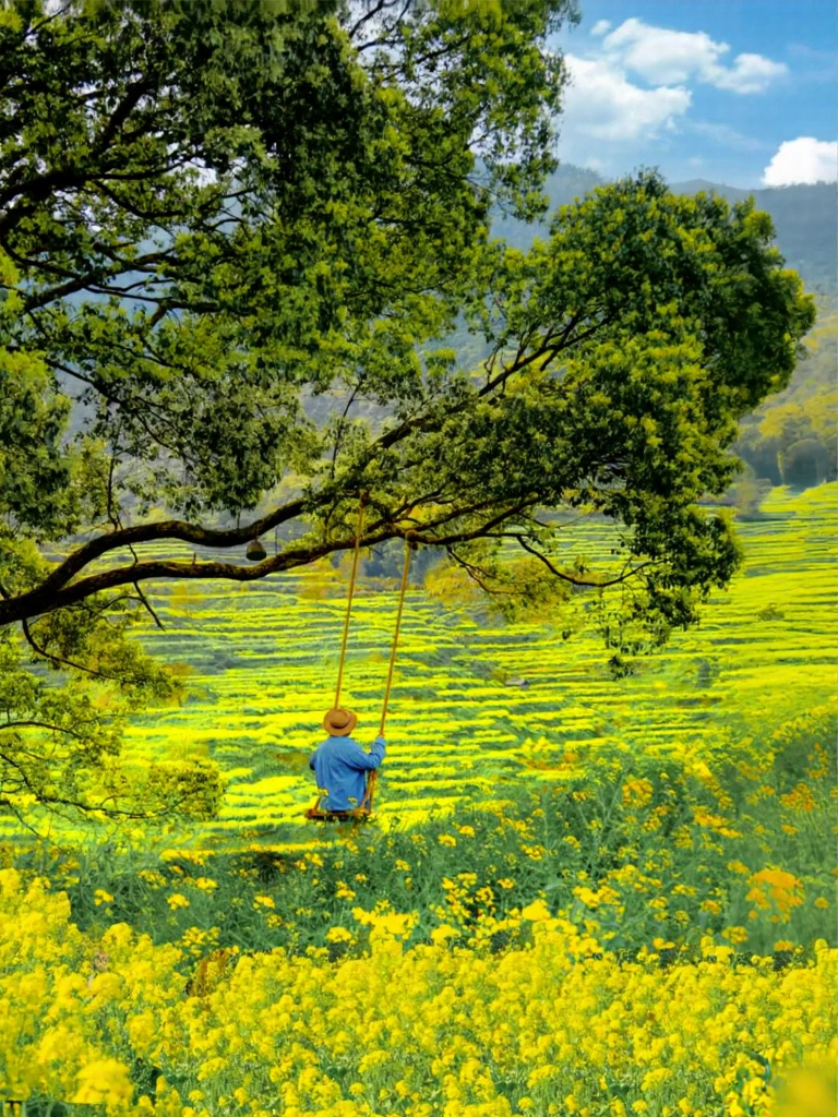 黄山旅游