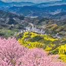 黄山旅游 缩略图 4
