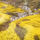 黄山旅游 缩略图 5