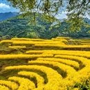 黄山旅游 缩略图 3