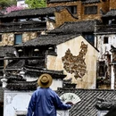 黄山旅游 缩略图 9