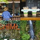 黄山旅游 缩略图 15
