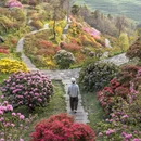 黄山旅游 缩略图 4