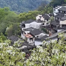 黄山旅游 缩略图 8