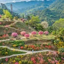 黄山旅游 缩略图 4