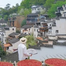 黄山旅游 缩略图 6