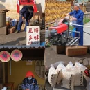 黄山旅游 缩略图 12