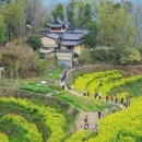 黄山旅游 缩略图 9