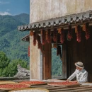 黄山旅游 缩略图 11