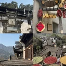 黄山旅游 缩略图 3