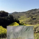 黄山旅游 缩略图 7