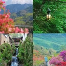 黄山旅游 缩略图 13