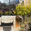 黄山旅游 缩略图 2